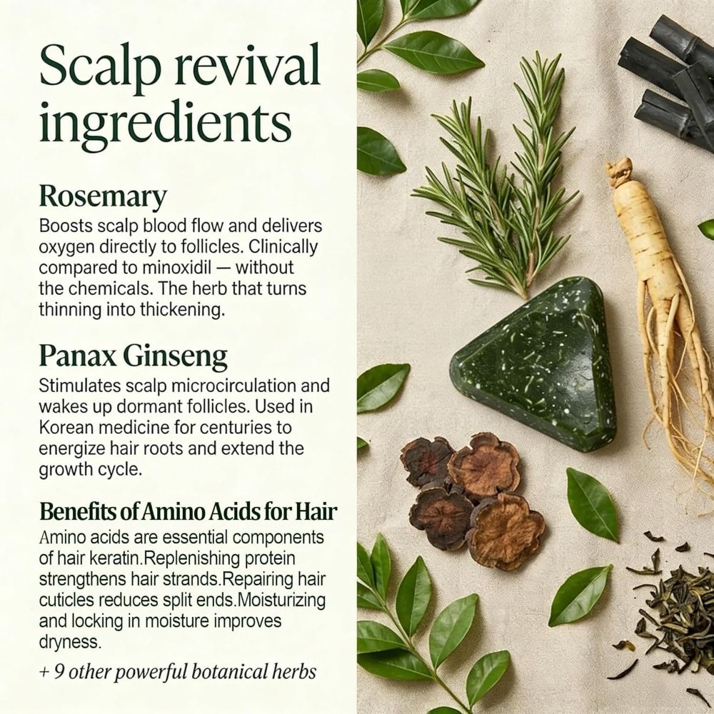 Rosemary Amino Acid Korean Sca - Hair Care Korean 评论和价格